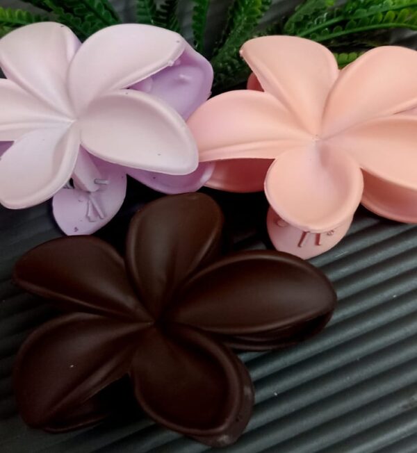 Flower clip set3(BPL)