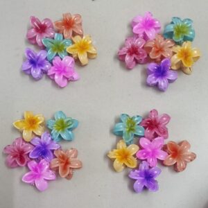 Small multicolor Hair Clip set of 6