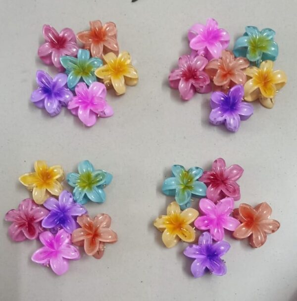 Small multicolor Hair Clip set of 6