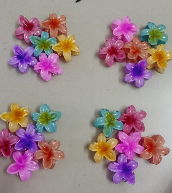 Small multicolor Hair Clip set of 6 - Image 2